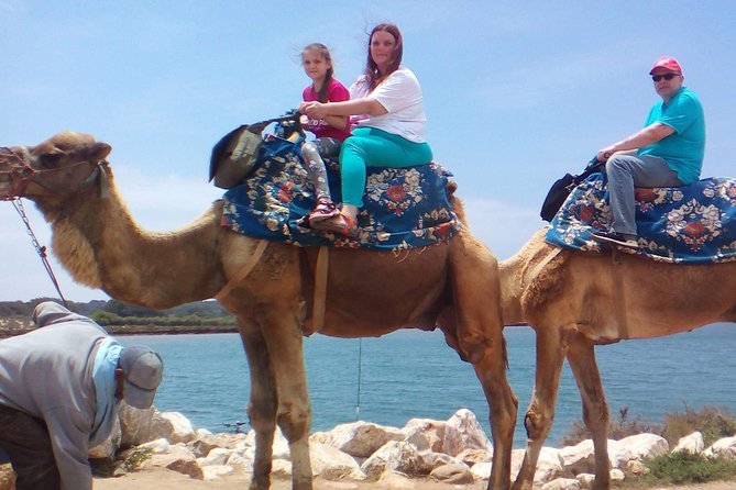 Camel Riding Overview And Location