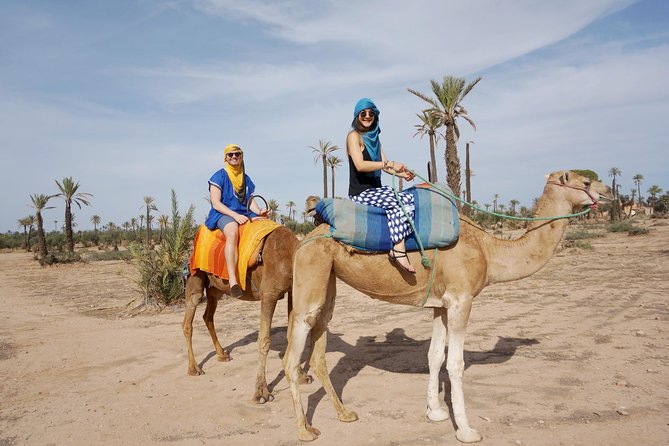 Camel Trek Around Marrakech Palmeraie Camel Ride Experience