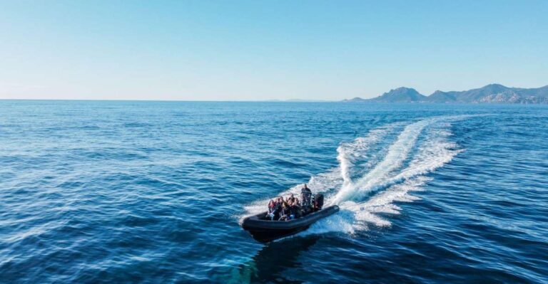 Cannes: Scenic Coves Rib Boat Tour Overview Of The Scenic Coves Rib Boat Tour