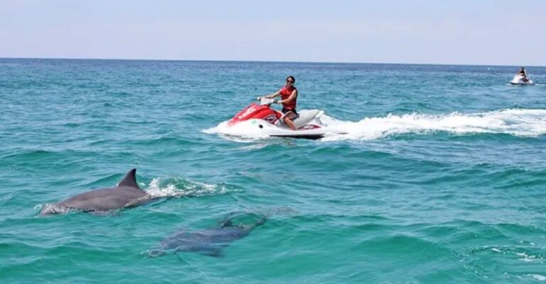 Cape Coral And Fort Myers: Wild Life Jet Ski Tour Tour Overview