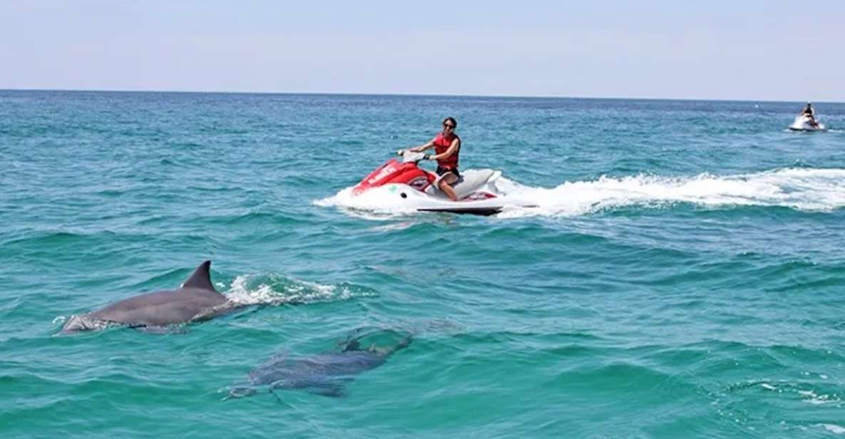 Cape Coral and Fort Myers: Wild Life Jet Ski Tour - Tour Overview