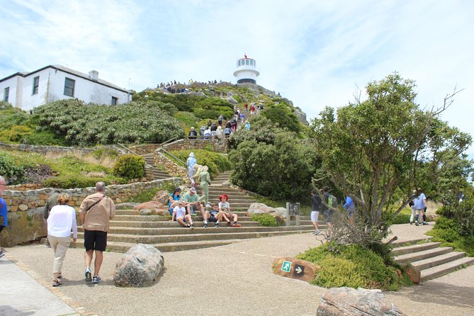 Cape of Good Hope, Penguins Private Tour From Cape Town Full Day - Features and Benefits