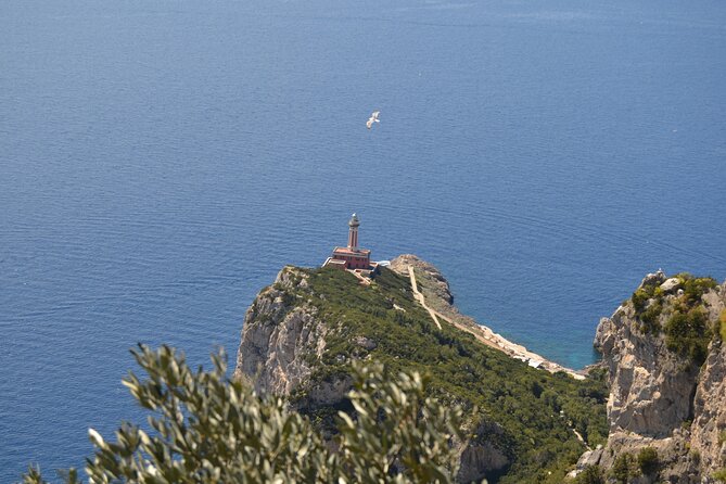 Capri Island And Blue Grotto Small Group Day Tour Tour Overview