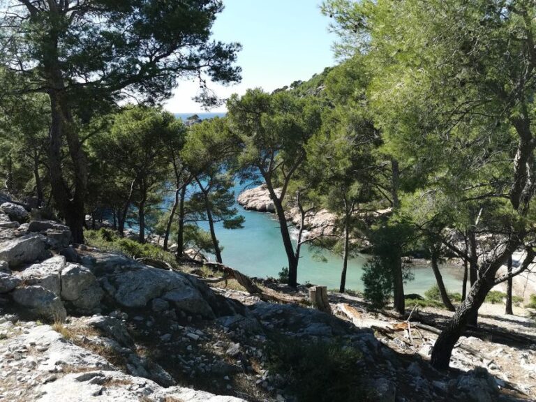 Cassis: Calanques National Park Guided Hiking Half Day Trip Overview Of The Tour