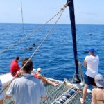 Catamaran Half Day Beautiful Day On The Atlantic Ocean Overview Of The Experience