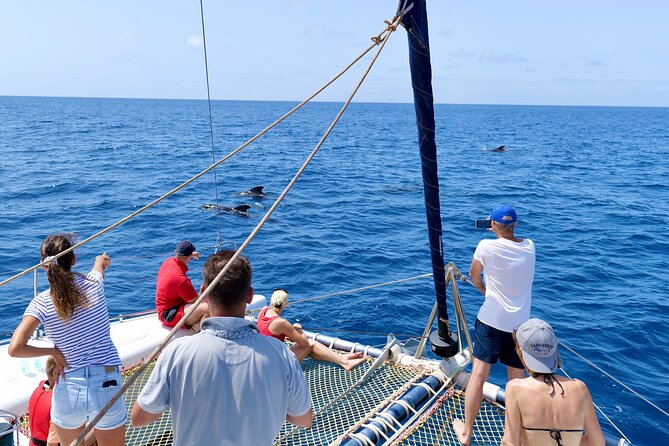 Catamaran Half Day Beautiful Day On The Atlantic Ocean Overview Of The Experience