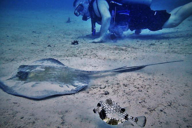 Certified Guided Reef Dive in St Thomas - Overview of the Dive Experience