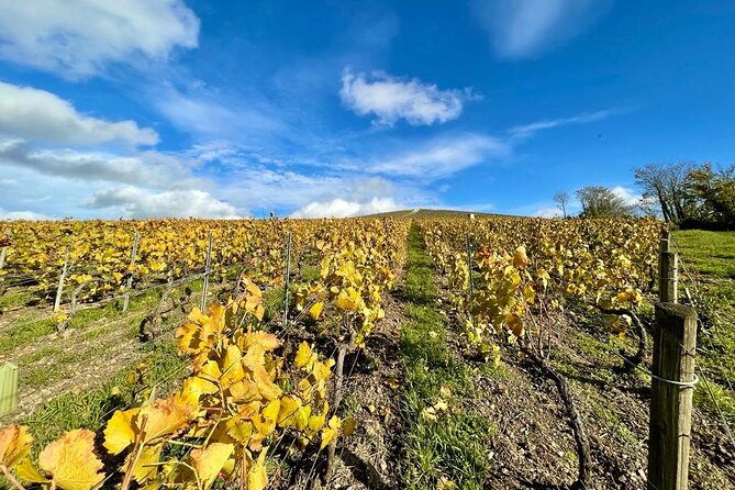 Champagne Small-Group Tour With Tastings and Lunch From Epernay - Tour Overview