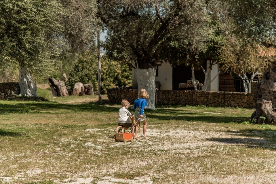 Chania Luxury Jeep Safaris: Manousakis Vineyard & Winery - Scenic Off-Road Journey