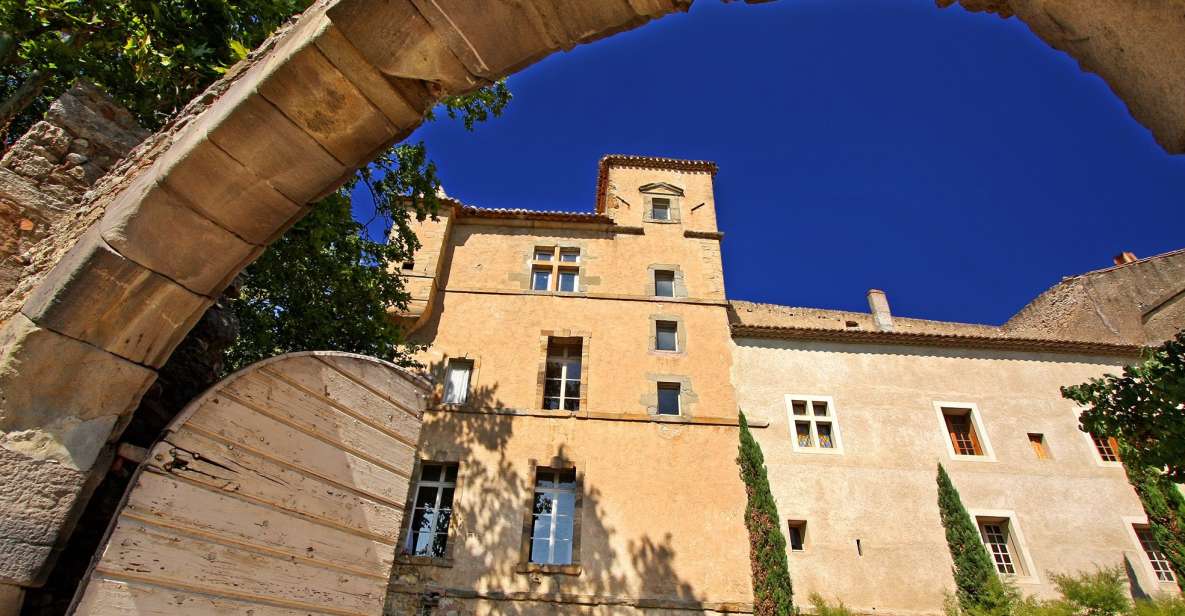 Château De Luc: Unusual Visit and Tasting - Overview of Château De Luc