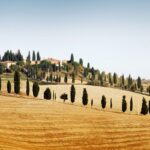 Chianti And Castle Small Group Tour From Siena With Wine Tasting Tour Overview