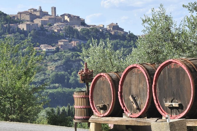 Chianti Half-Day Wine Tour in the Tuscan Hills Small Group From Lucca