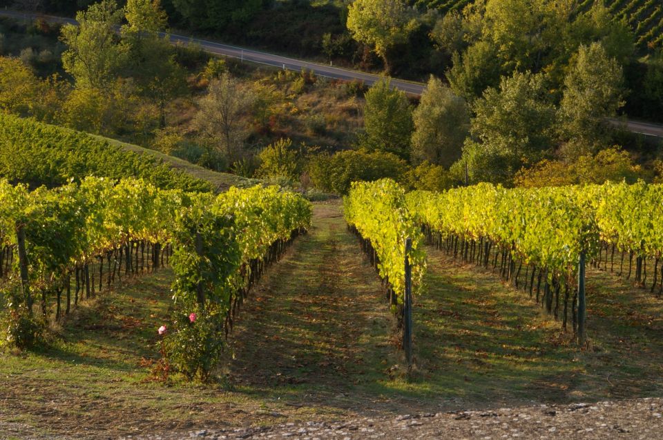 Chianti, Siena, S. Gimignano & Wine Tasting Private Tour - Tour Details