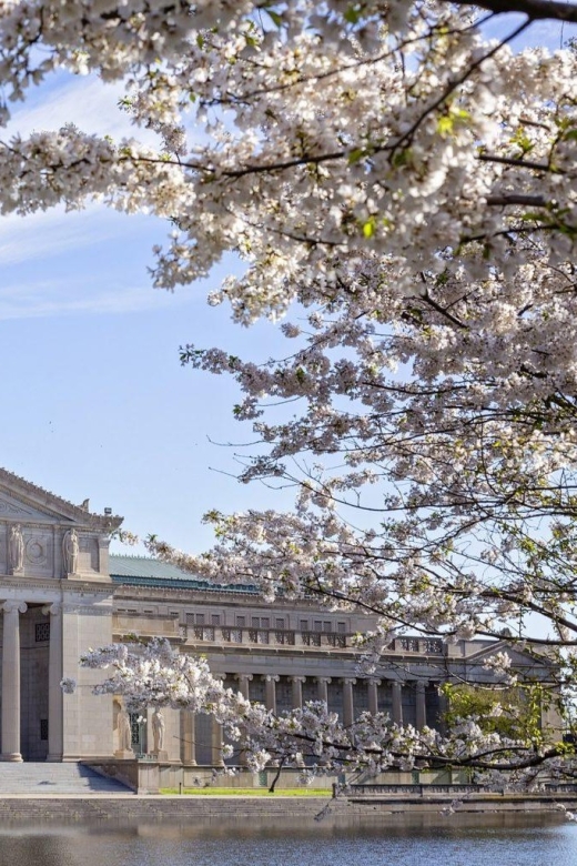 Chicago's Artsy Cultural Landmarks – Walking Tour Chicago Cultural Center