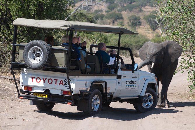 Chobe National Park Game Drive, Botswana Overview Of Chobe National Park