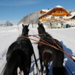 Christmas Horse Drawn Sleigh Ride From Salzburg Relax With Lunch At Local Inn