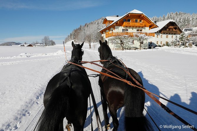 Christmas Horse-Drawn Sleigh Ride From Salzburg - Relax With Lunch at Local Inn