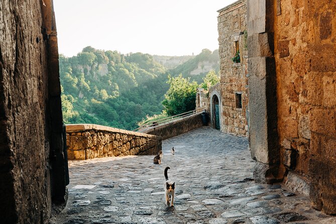 Civita Di Bagnoregio And Orvieto Private Day Trip From Rome Tour Overview And Details