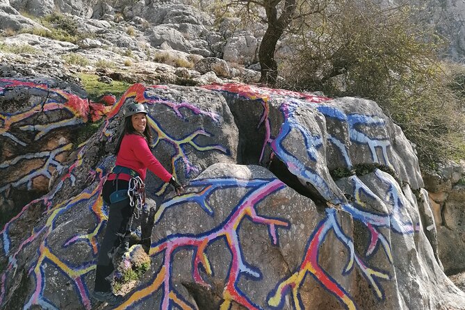 Climbing The John Hogbin Via Ferrata With Lunch Included In The Tour