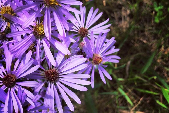 Coal Mine Hike and Beer - Guided Hike Through Coal Mine Trail