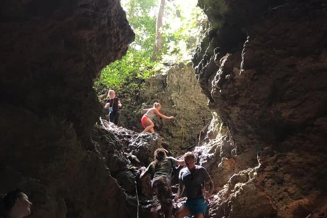 Coles Cave Hike Barbados Limestone Landscapes