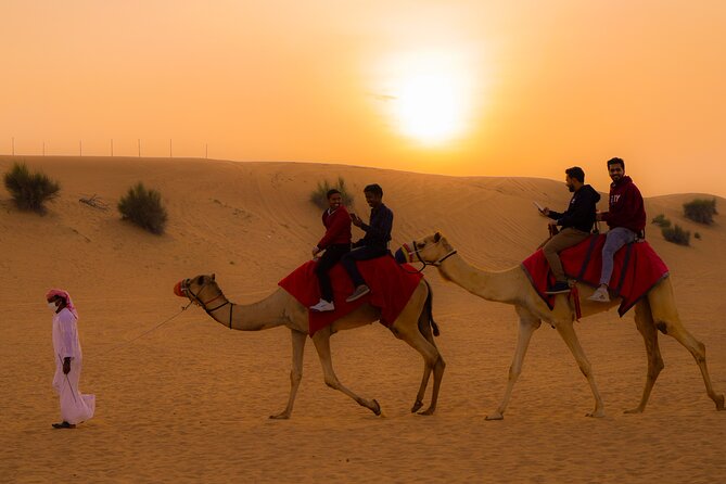 Combo Tour Dubai City Tour & Evening Desert Safari Highlights Of Dubai City Tour