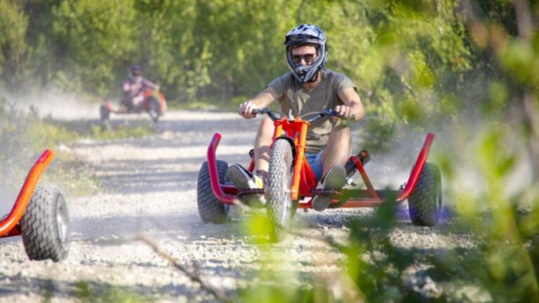 Dagali: Mountain Cart Racing Adventure Experience The Thrill