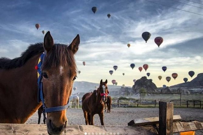 Daily Cappadocia North Tour - Tour Overview