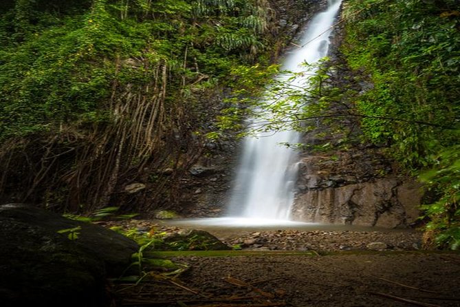 Dark View Falls Tour With Trubb Taxi Tours Svg Tour Overview