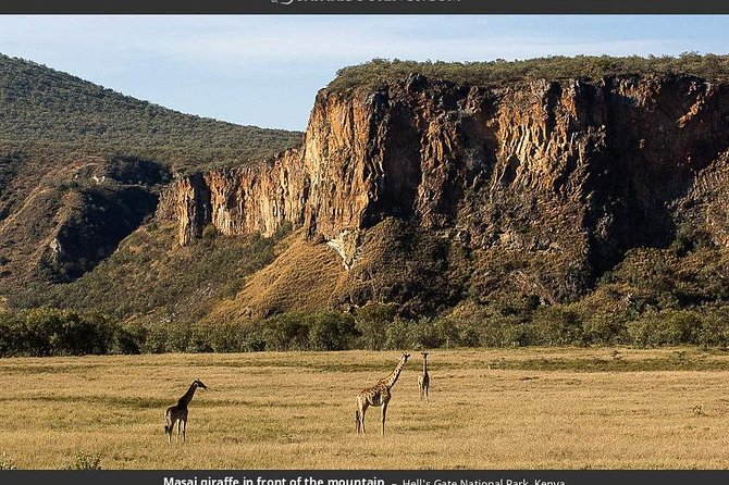 Day Tour to Hells Gate and Optional Boat Ride at Lake Naivasha - Boat Ride at Lake Naivasha