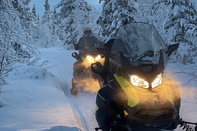 Day Tour With Snowmobile In Kiruna Wildlife Spotting Opportunities