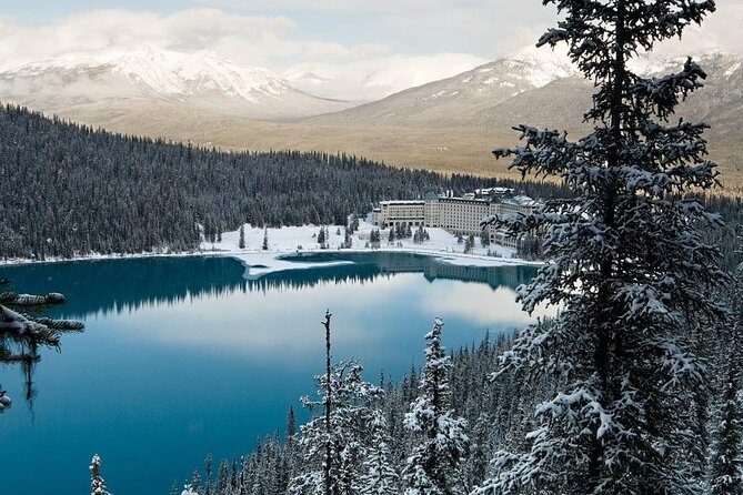 Day Trip: Johnston Canyon, Lake Louise, Banff Town From Calgary Tour Overview And Reviews