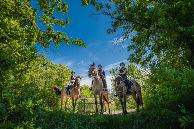 Day Trip To Fontainebleau : Horse Riding, Gastronomy And Castle Indulge In Bistronomic Delights