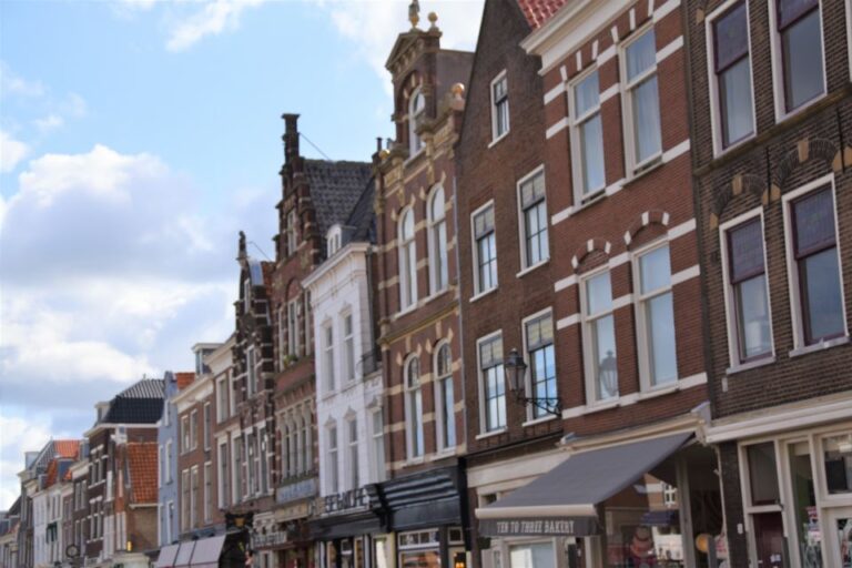 Delft: Private Historical And Cultural Guided Walking Tour Tour Overview