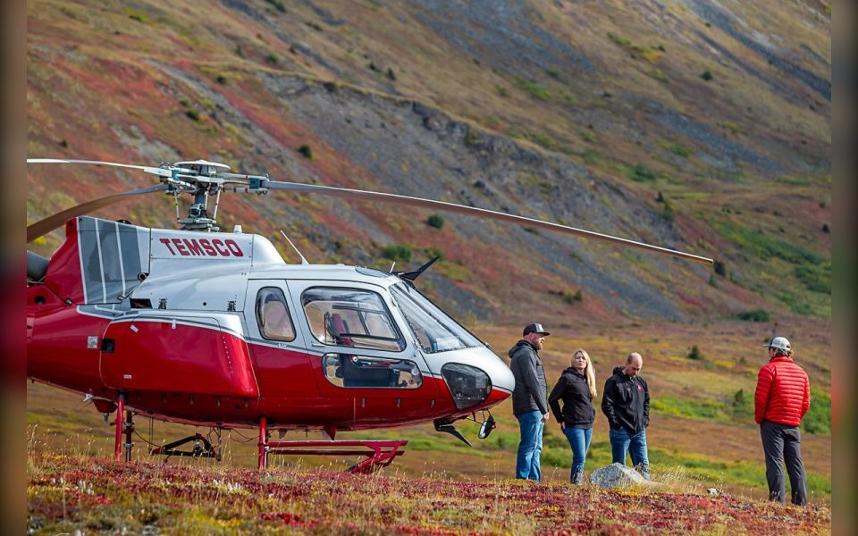 Denali National Park: Helicopter and Hike Adventure - Tour Overview