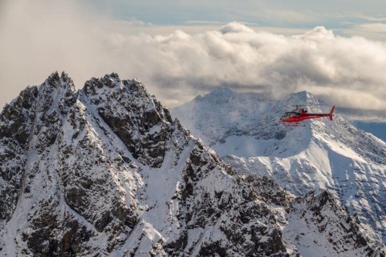 Denali National Park: Helicopter Flight With Glacier Landing Scenic Helicopter Flight