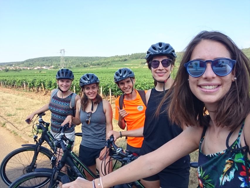 Dijon: Bike Tour and Tastings in the Vineyards of Burgundy - Overview of the Experience