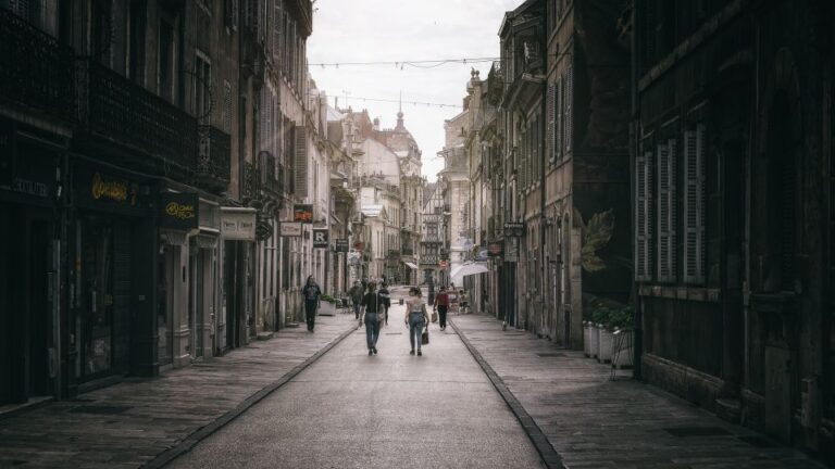 Dijon: Historic Guided Walking Tour Historic Porte Guillaume