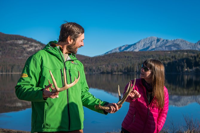 Discover Jasper And Its Wildlife Overview Of Jasper National Park