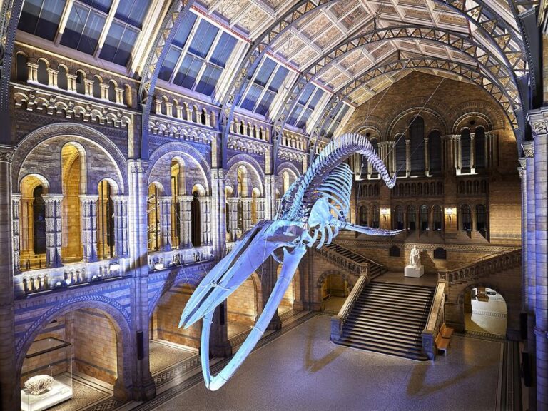 Discover Londons Natural Wonders: Museum Expedition Tour Overview