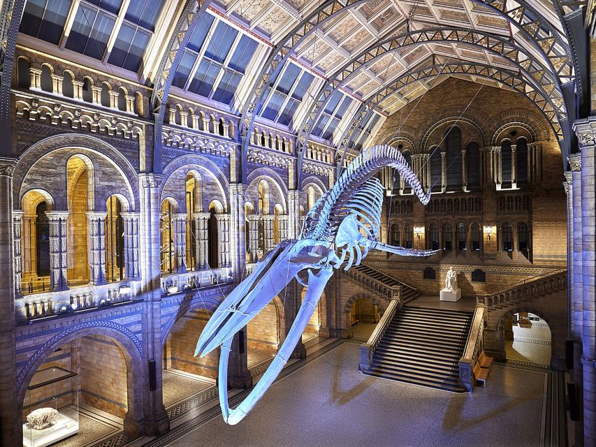 Discover Londons Natural Wonders: Museum Expedition - Tour Overview