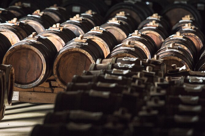 Discovering The Balsamic Vinegar Of Modena! The Balsamic Vinegar Region