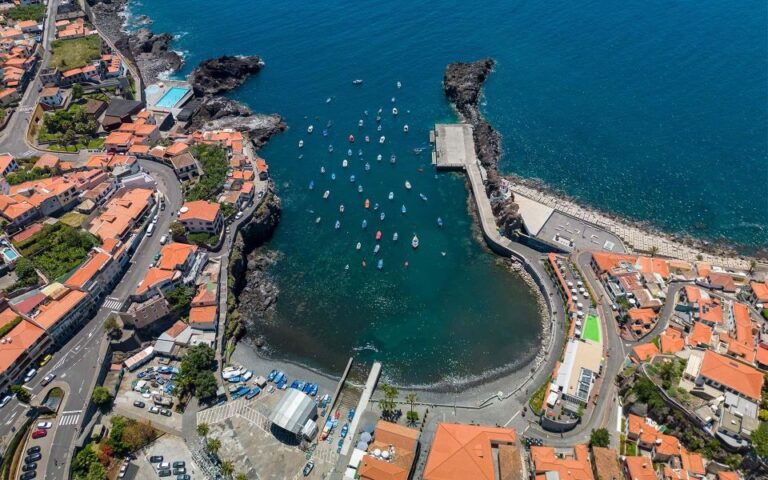 Do Funchal Câmara De Lobos Fishing Village Tuk Tuk Tour Tour Overview