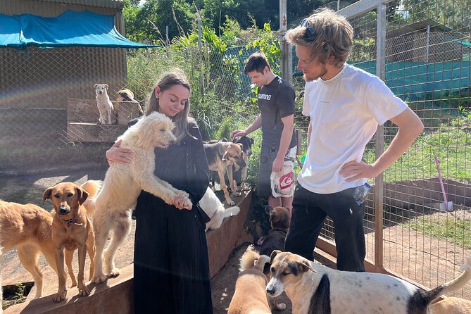 Dog Lovers Guided Tour Of The Happy Tails Sanctuary Tour Overview