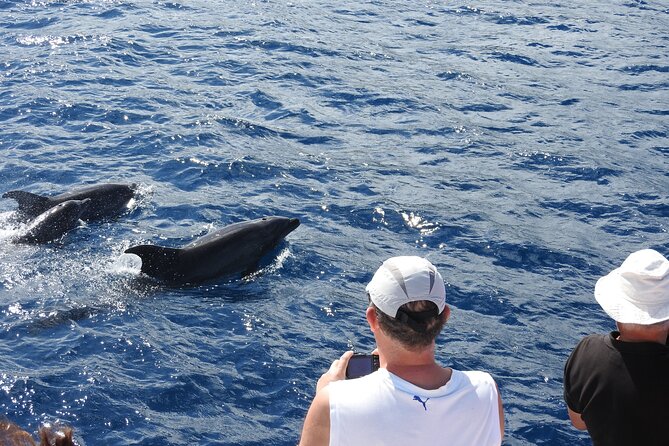 Dolphins, Coral Reefs, Caribbean Coast Martinique: Caribbean Paradise