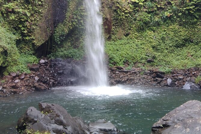 .dominica Full Day Tour 6 Waterfalls In 1 Day And Rainforest Included Highlights