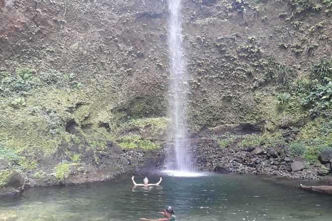 Dominica Half-Day Tour: Mero Beach, Waterfalls, Mineral Bath Wotten Waven - Transportation and Logistics