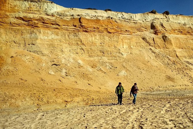 Doñana National Park And El Rocío: Guided Tour From Seville Tour Overview