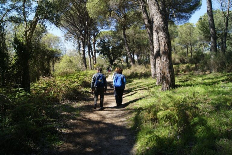 Doñana National Park Off Road Tour From Seville Tour Overview