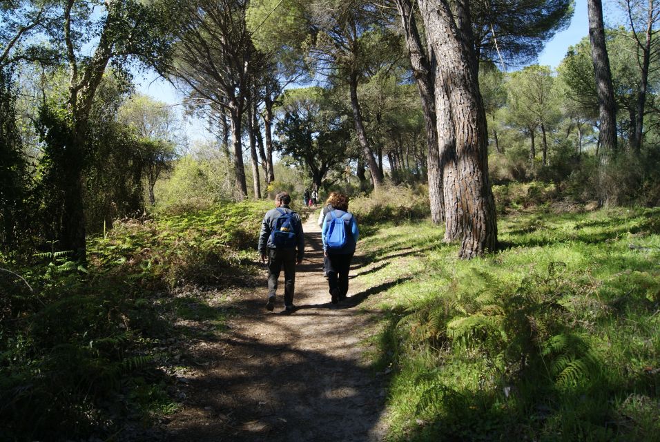 Doñana National Park Off-Road Tour From Seville - Tour Overview